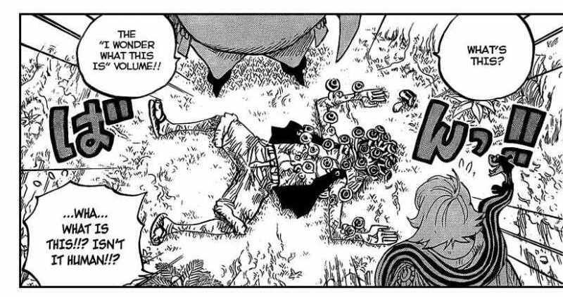 &#91;Fakta-fakta di One Piece yang sering orang tidak tahu / tidak Ngeh / ga Merhatiin&#93;