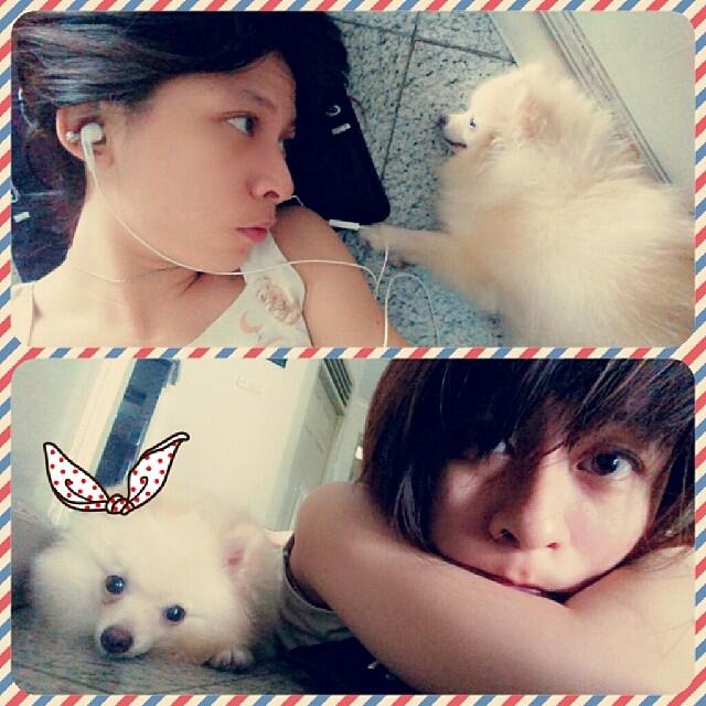 Terima Hibah Anjing Pom, Shih Tzu, Maltesse, Pokoknya yang Kecil aja