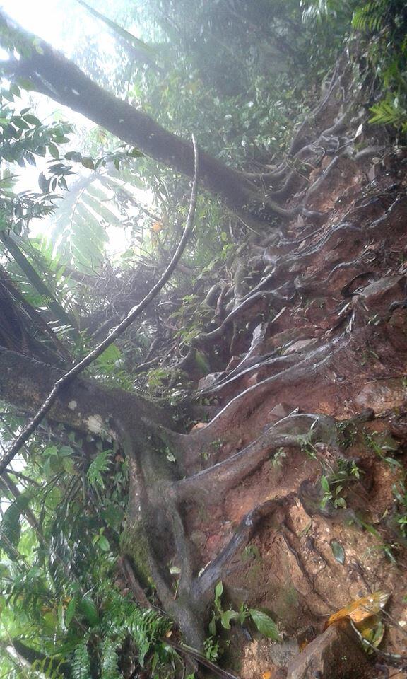 Gunung Pulosari 1346 MDPL , Banten