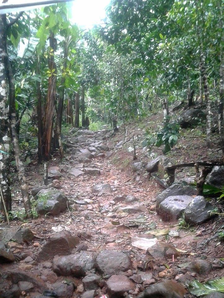 Gunung Pulosari 1346 MDPL , Banten