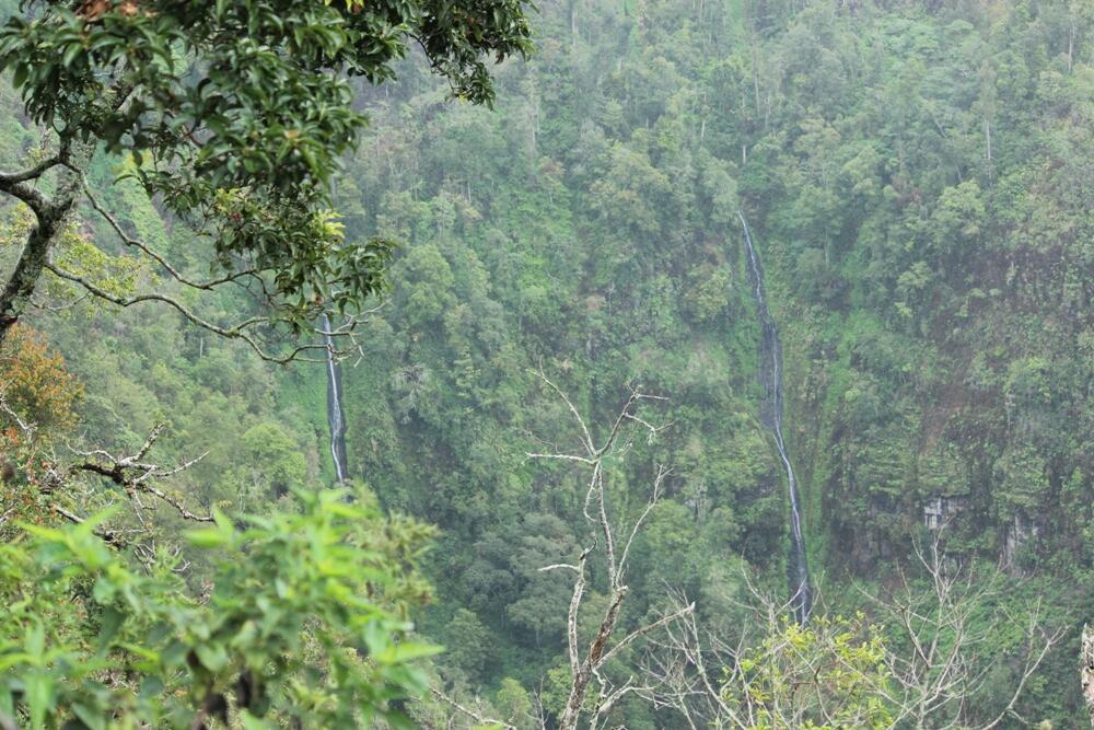 &#91;CATPER&#93; The Marvelous Argopuro 3.088 MDPL ( 28 DESEMBER - 31 DESEMBER 2014 )