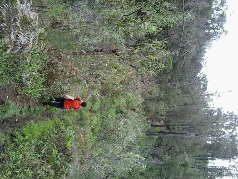 &#91;CATPER&#93; The Marvelous Argopuro 3.088 MDPL ( 28 DESEMBER - 31 DESEMBER 2014 )