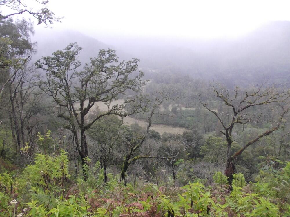 &#91;CATPER&#93; The Marvelous Argopuro 3.088 MDPL ( 28 DESEMBER - 31 DESEMBER 2014 )