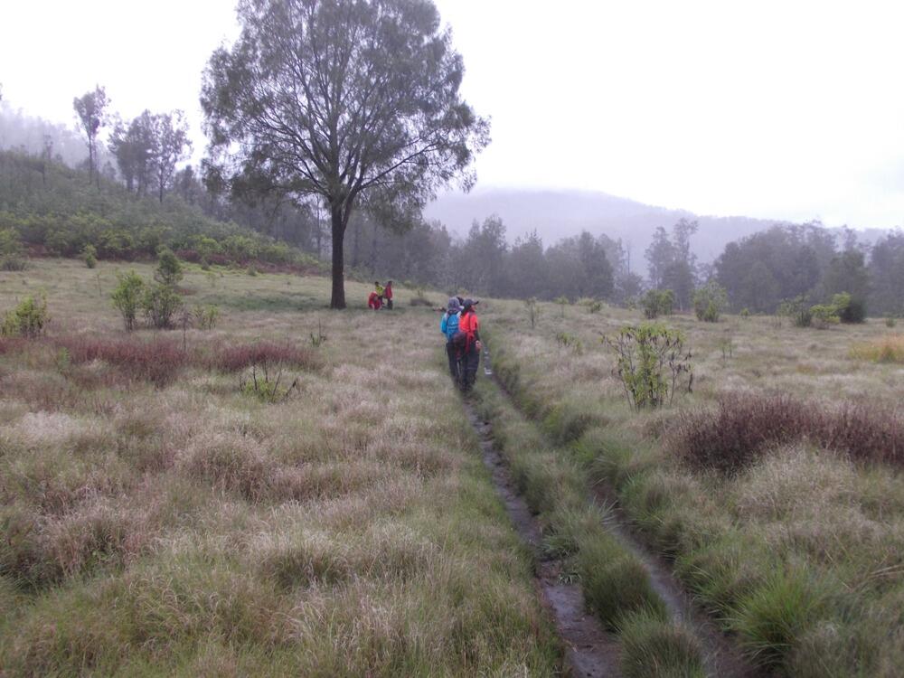 &#91;CATPER&#93; The Marvelous Argopuro 3.088 MDPL ( 28 DESEMBER - 31 DESEMBER 2014 )