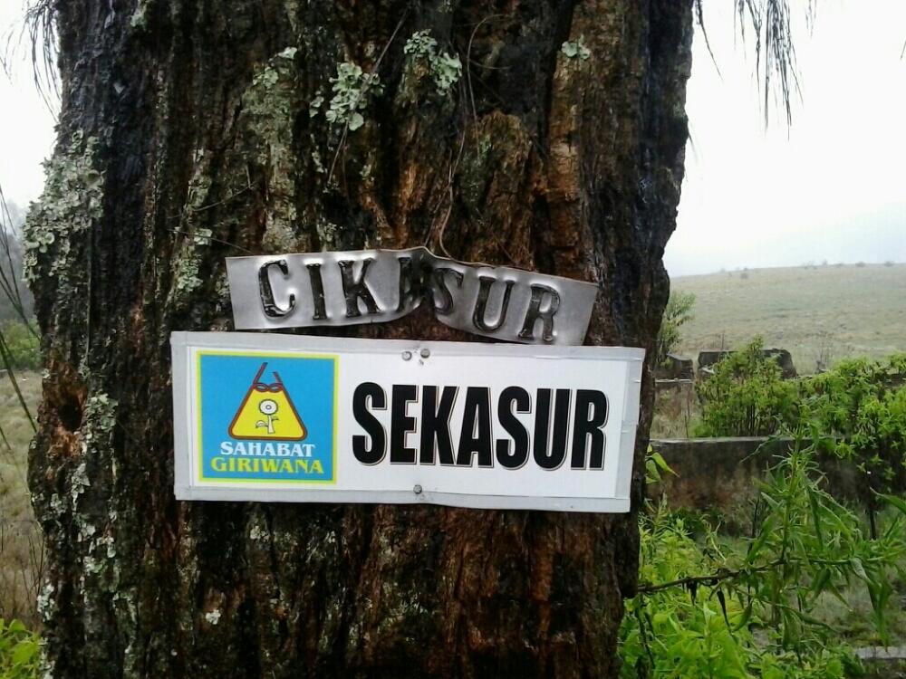 &#91;CATPER&#93; The Marvelous Argopuro 3.088 MDPL ( 28 DESEMBER - 31 DESEMBER 2014 )