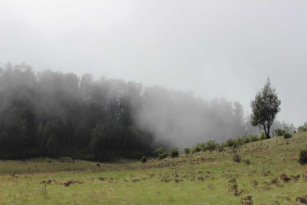 &#91;CATPER&#93; The Marvelous Argopuro 3.088 MDPL ( 28 DESEMBER - 31 DESEMBER 2014 )