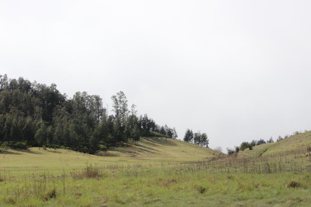 &#91;CATPER&#93; The Marvelous Argopuro 3.088 MDPL ( 28 DESEMBER - 31 DESEMBER 2014 )