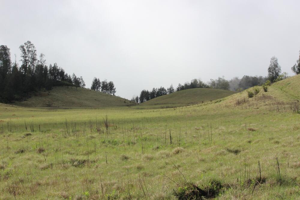&#91;CATPER&#93; The Marvelous Argopuro 3.088 MDPL ( 28 DESEMBER - 31 DESEMBER 2014 )