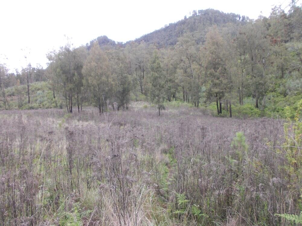 &#91;CATPER&#93; The Marvelous Argopuro 3.088 MDPL ( 28 DESEMBER - 31 DESEMBER 2014 )