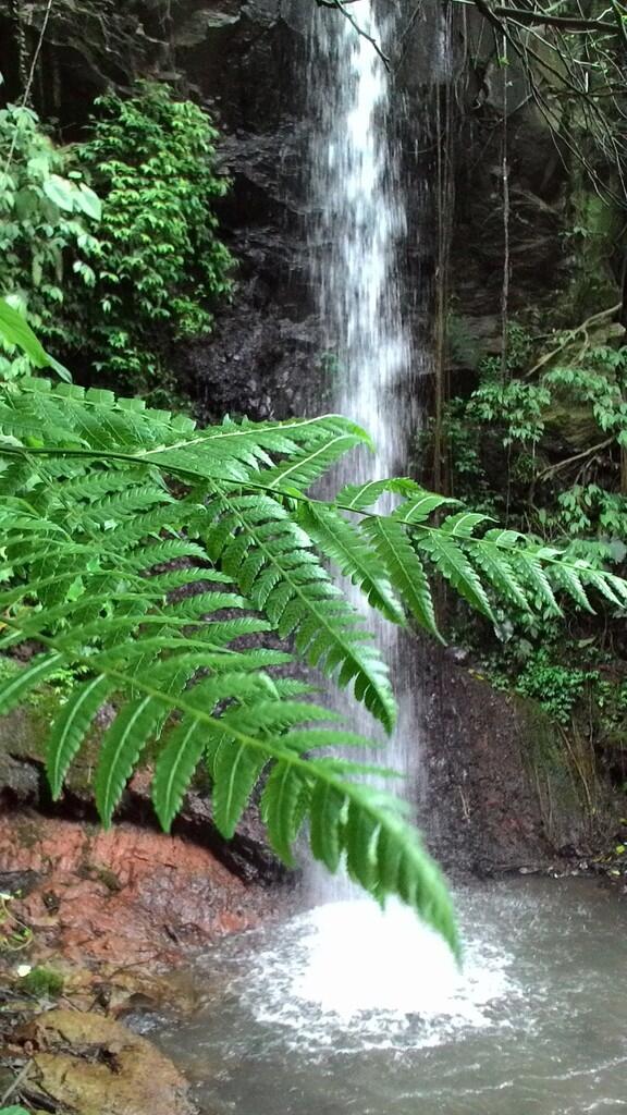 Hiking Asik Ke Curug Roda A.k.a Curug Panganten