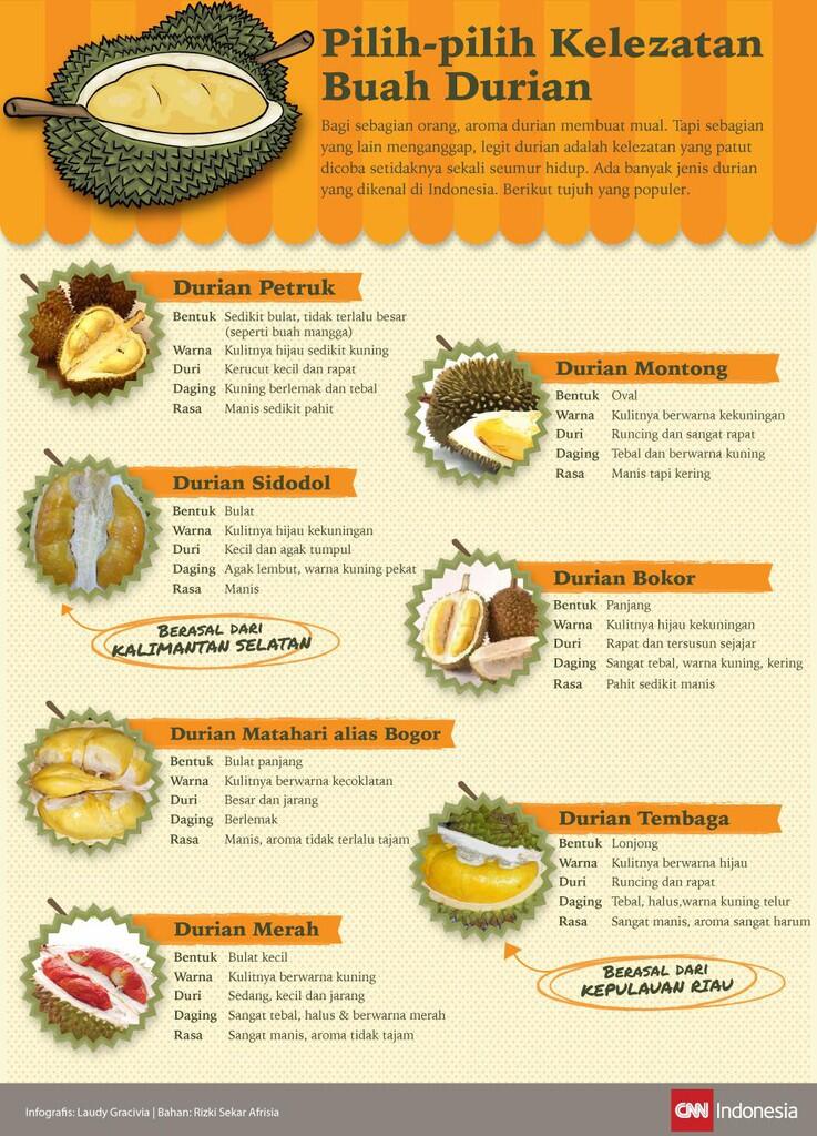 &#91;infografis&#93;Mengenal Jenis Durian Terpopuler di Indonesia
