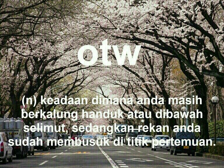 Meme Jenis Baru : Meme Kosa Kata