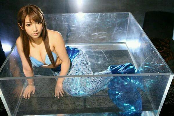 Ini Baru Aquarium... (Gak Masuk Rugi) 