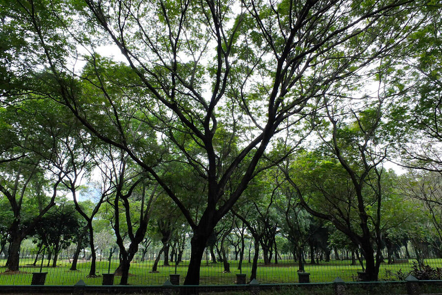 Indahnya Alun-Alun kota di Indonesia