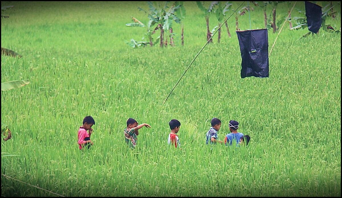 Mengenang masa kecil bahagia