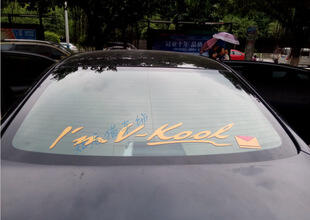 SY STICKER 4