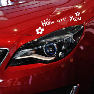 SY STICKER 4