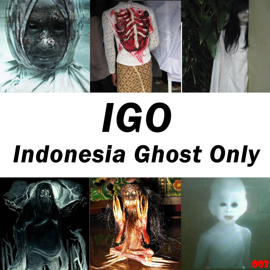 IGO