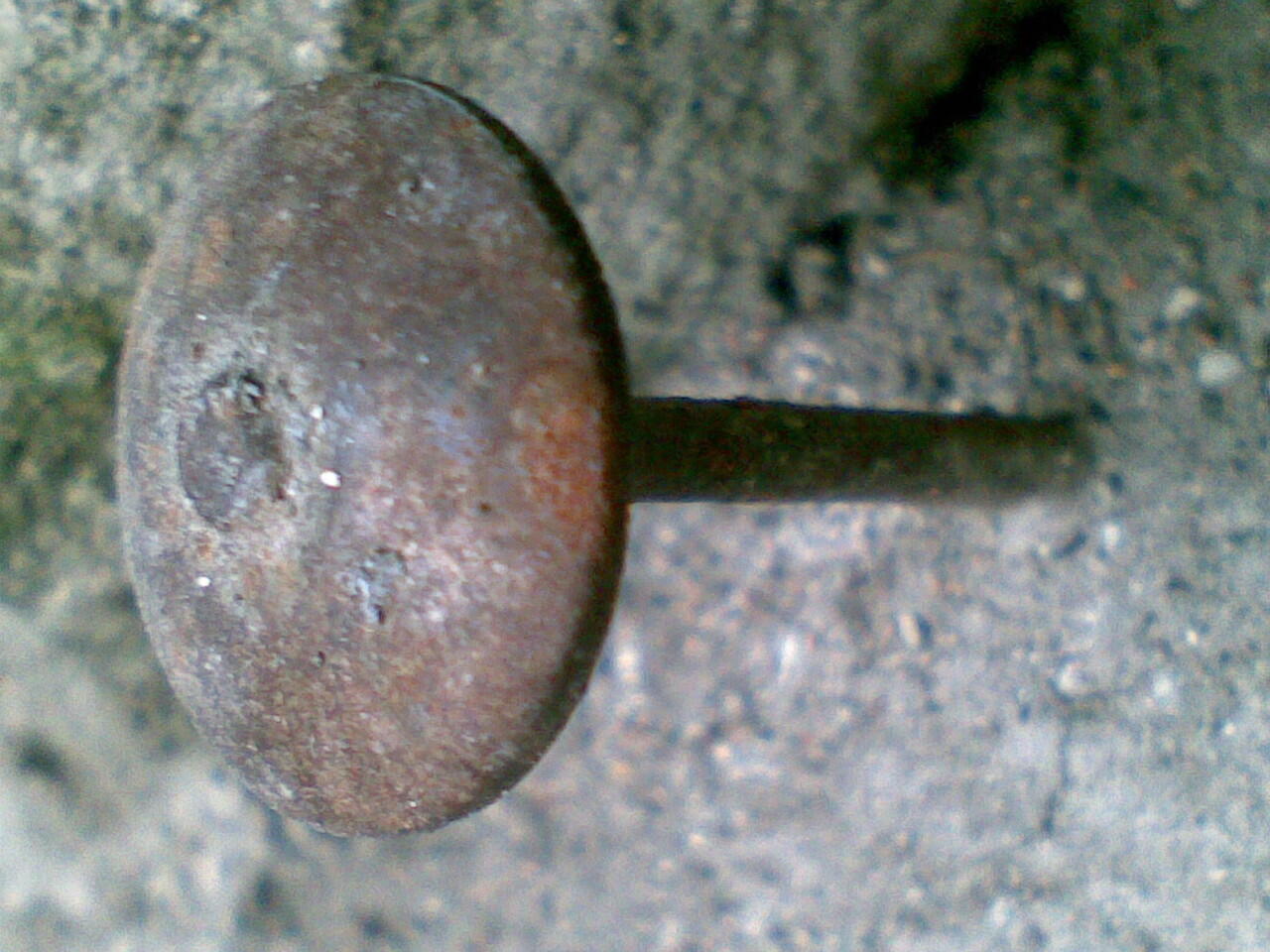 Kumpulan Foto Macro Dengan Kamera HP