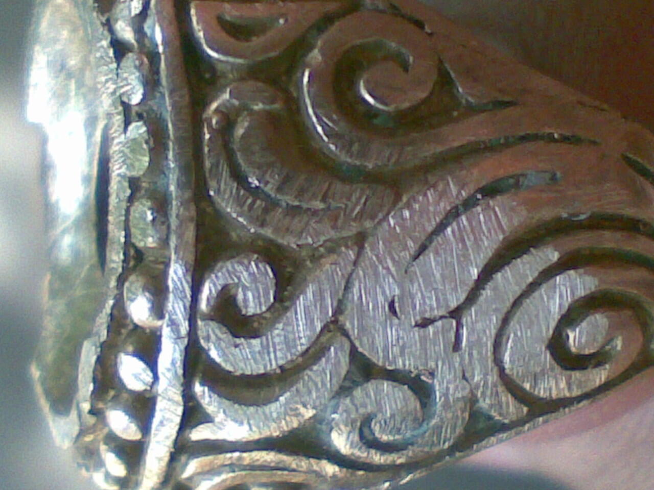 Kumpulan Foto Macro Dengan Kamera HP
