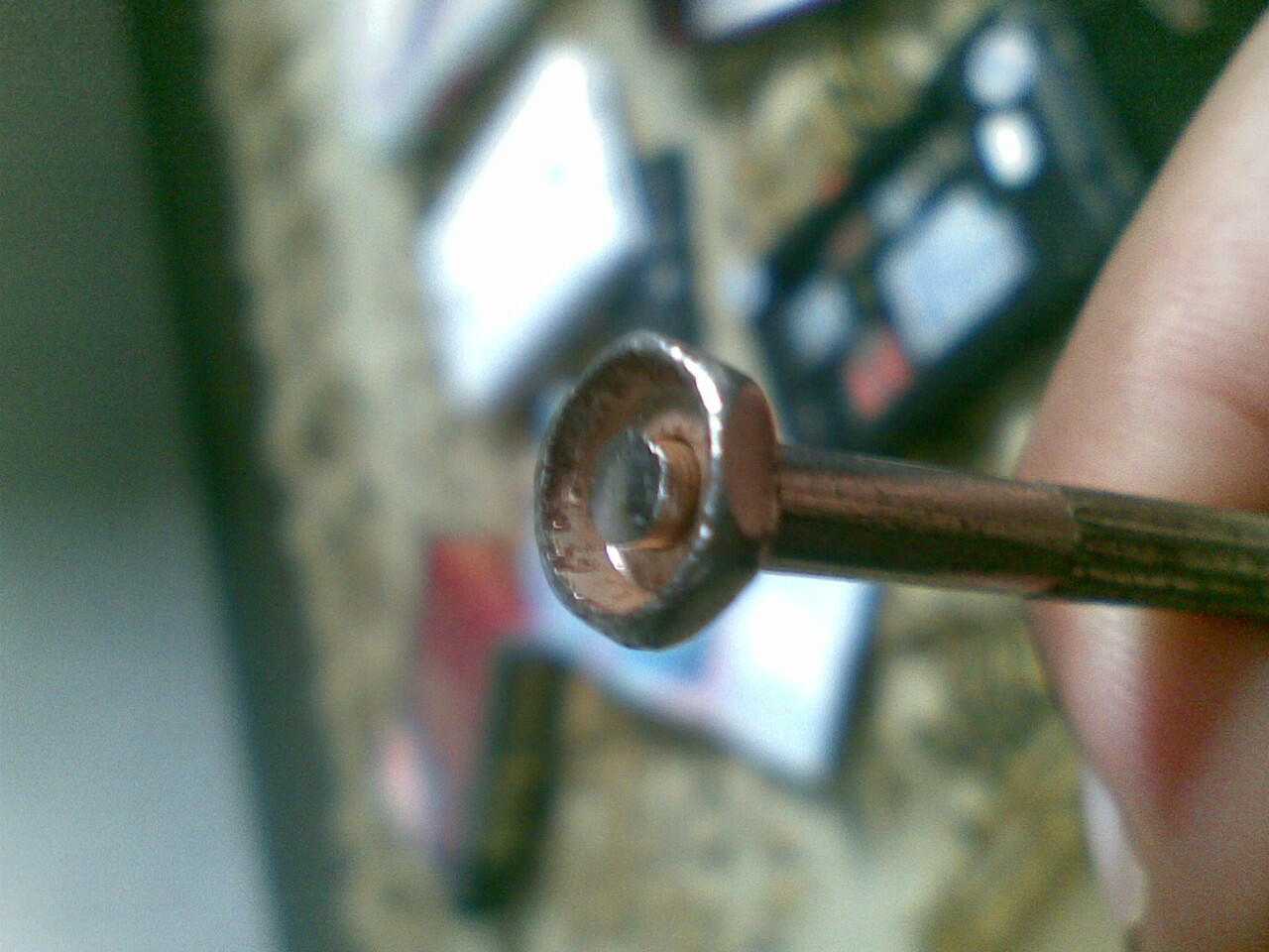 Kumpulan Foto Macro Dengan Kamera HP