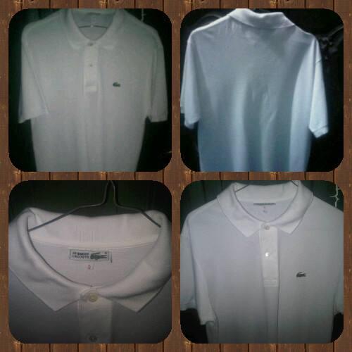 POLO SHIRT LACOSTE ORIGINAL