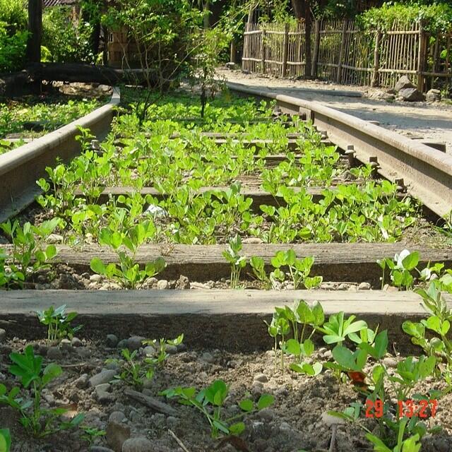 Taman Ini Dibangun di Atas Rel Bekas, Gan!