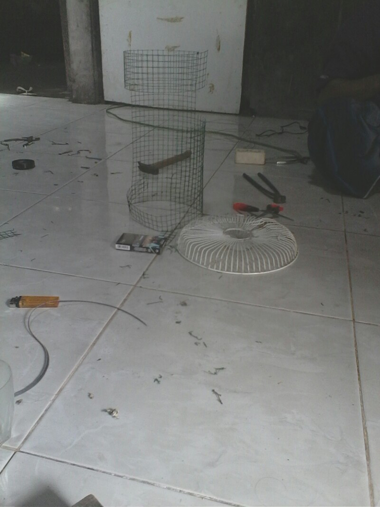 pecinta burung kicau masuk