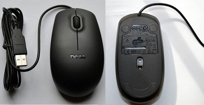 Mouse msh