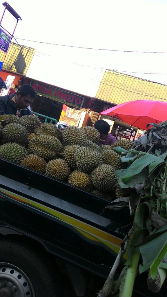 coba jualan