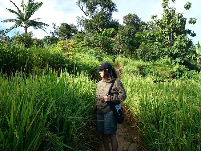 Curug Sempong, Keindahan Alam Tersembunyi di Majalengka