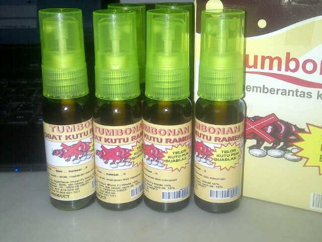 Terjual TUMBONAN Obat  Kutu  Alami  KASKUS