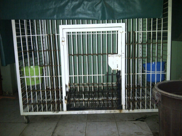 Kandang Anjing Murah