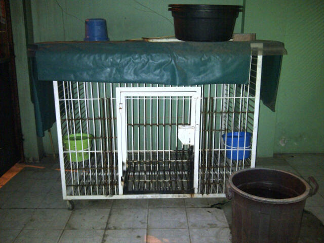 Kandang Anjing Murah
