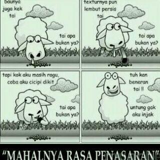 &#91;Share&#93; Gambar gambar menarik di HP ane :D