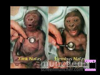 &#91;Share&#93; Gambar gambar menarik di HP ane :D