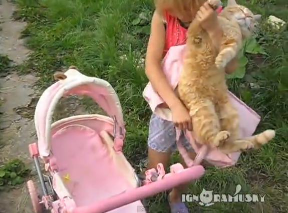 Kucing ini Berperan sebagai seorang bayi