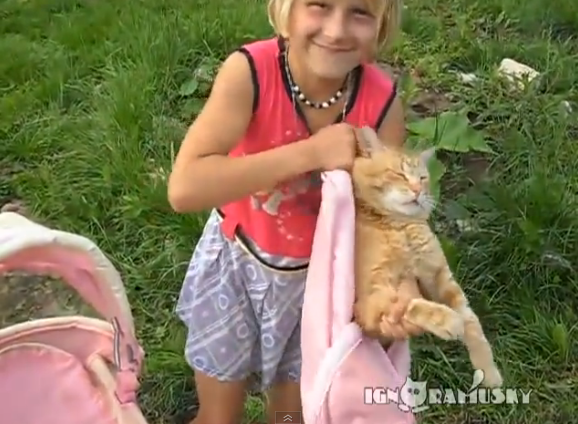 Kucing ini Berperan sebagai seorang bayi