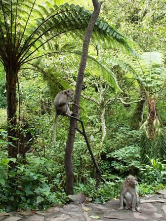 &#91;catper&#93; one day trip: Jelajah 5 Air Terjun Kab. Malang