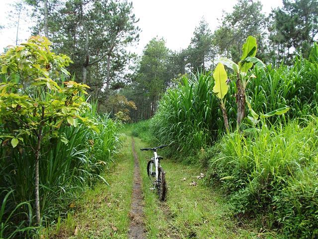 &#91;catper&#93; one day trip: Jelajah 5 Air Terjun Kab. Malang