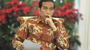 Jangankan Macan... Biang Banteng Pun Jokowi Lawan !!! 