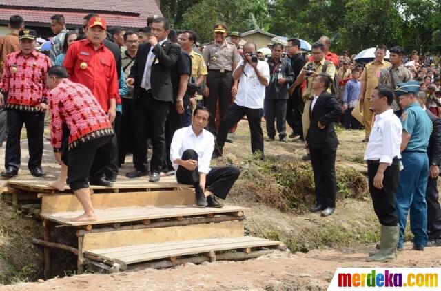 FOTO: Aksi Presiden Jokowi Menanam Padi Bareng Petani di Kalimantan