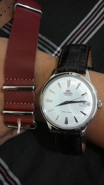 WTS: ORIENT Bambino ER24005W (dress watches)