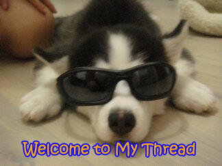 MEME @Siberiian Part I