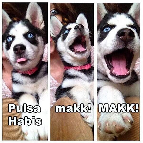 MEME @Siberiian Part I