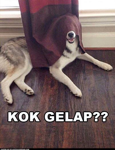 MEME @Siberiian Part I