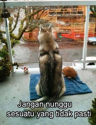 MEME @Siberiian Part I