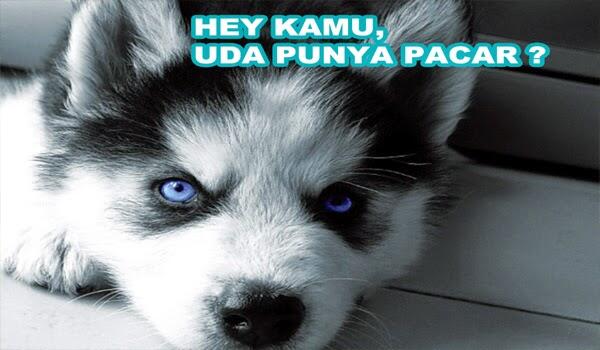 MEME @Siberiian Part I
