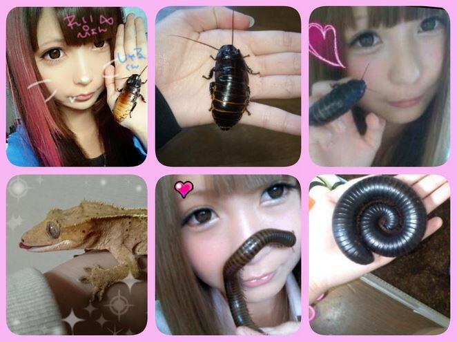 WOW Seorang gadis cantik di jepang yang di cium bukan boneka melainkan binatang