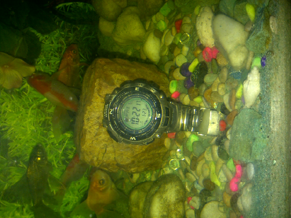 Casio PROTREK PRG 130T 7VDR fulset
Casio Gshock DW 5500 black fulset